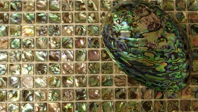 MatrixZStone's tweet photo. Abalone Paua - Mesh - 5/8" #MatrixZ http://t.co/hZnKcUIOUo http://t.co/G4mvFFHFrv