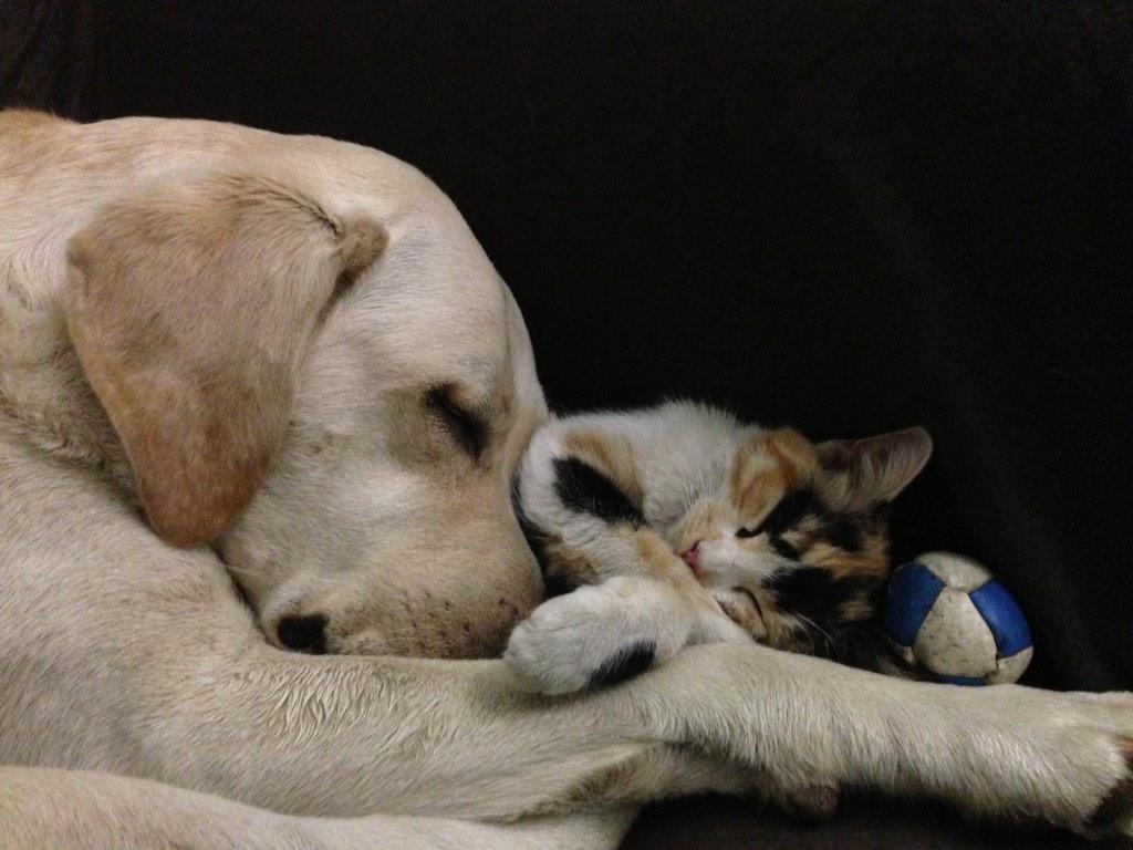 Best friends