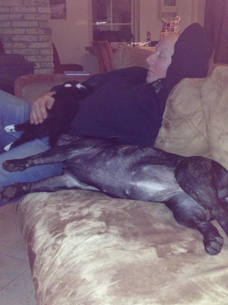 Bij ons geen last van vuurwerk.