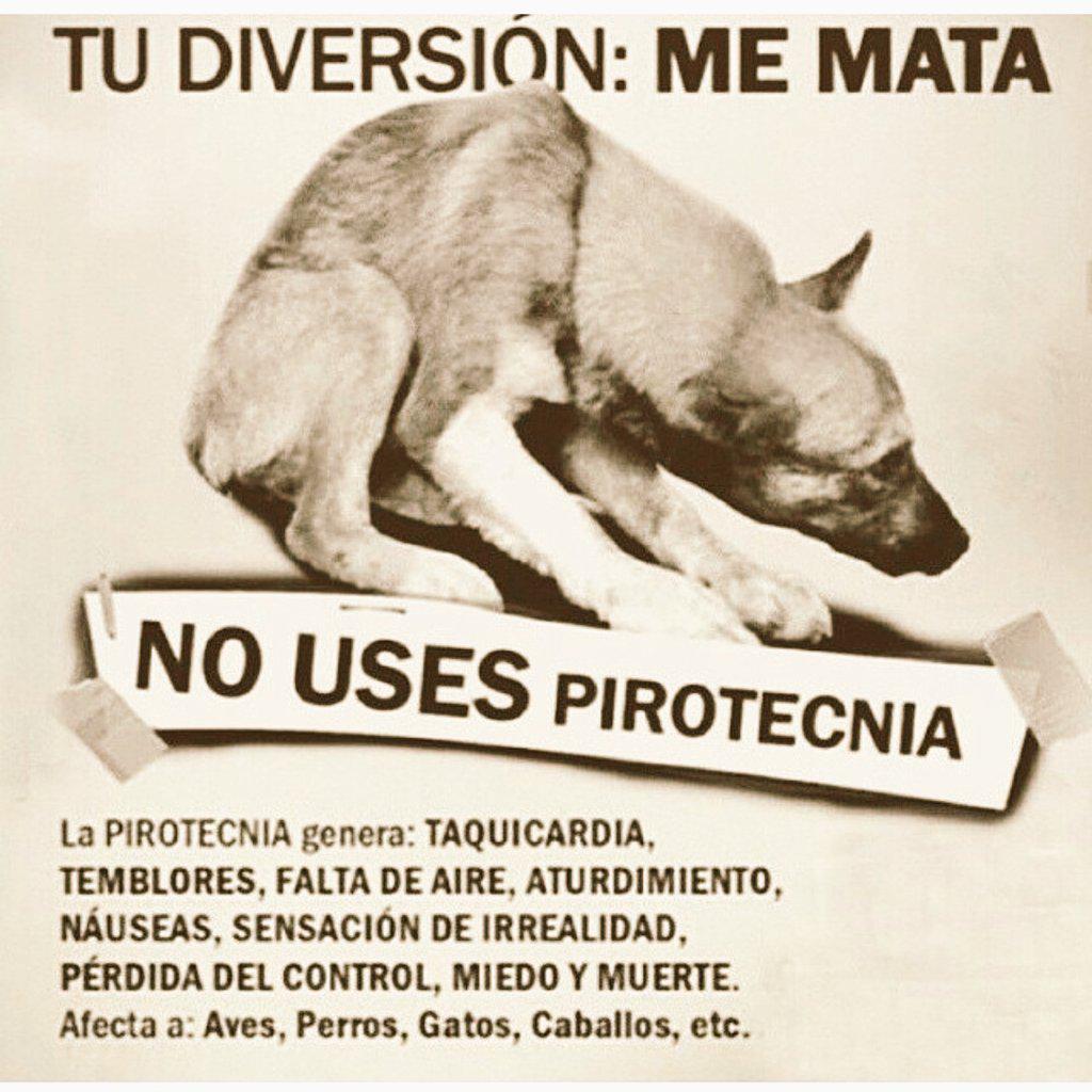 <a href="/MiDiarioPanama/">Mi Diario Panamá</a> @RobaMorena <a href="/karinabazan/">Karina Bazán (Titi)</a> <a href="/angelesanimales/">AngelesdelosAnimales</a> <a href="/PatasyPies/">Patas y Pies</a> @fundasis <a href="/spaypanama/">Spay Panama</a> <a href="/TraficoDiario/">Tráfico PANAMA RT</a> <a href="/SOS_PTY/">Emergencias Panamá</a>