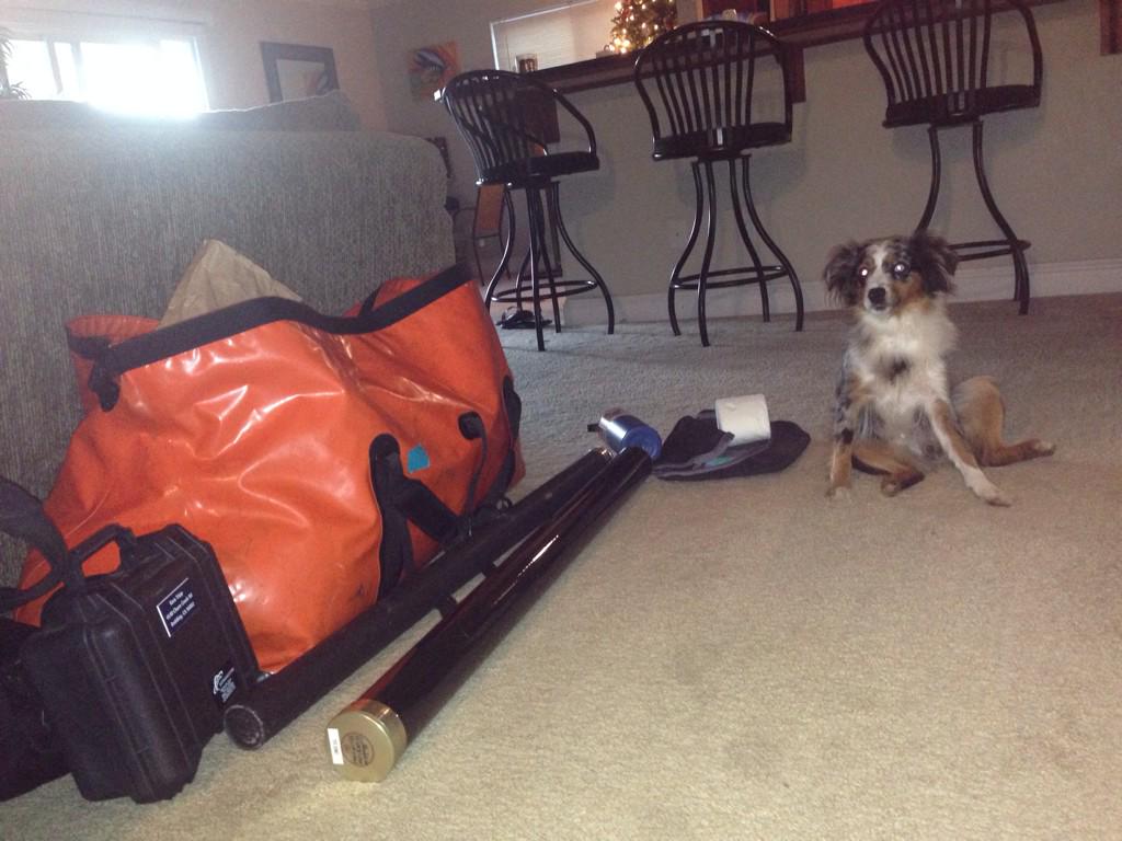 FishMiss82's tweet image. Gearing up for steelhead fishing the  Pacific Coast! #spey #steelhead #winter #happynewyear