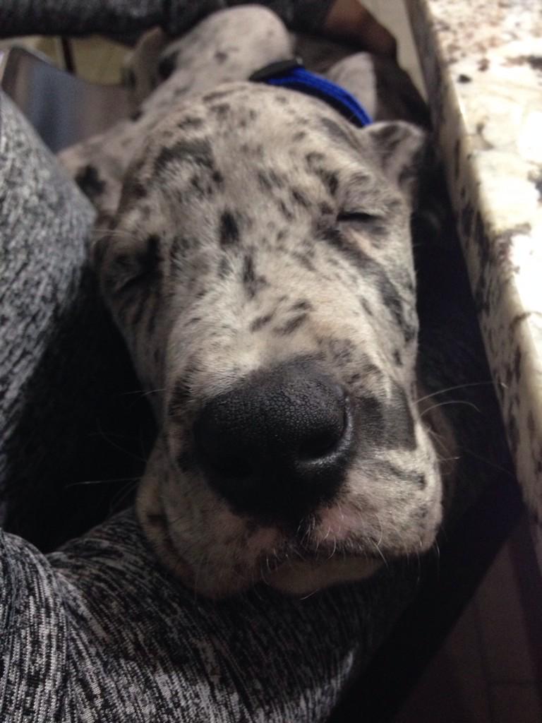 SickFind's tweet image. Don't sleep on all the shirts I put up on the site! A few have already been picked through. Check em aht.