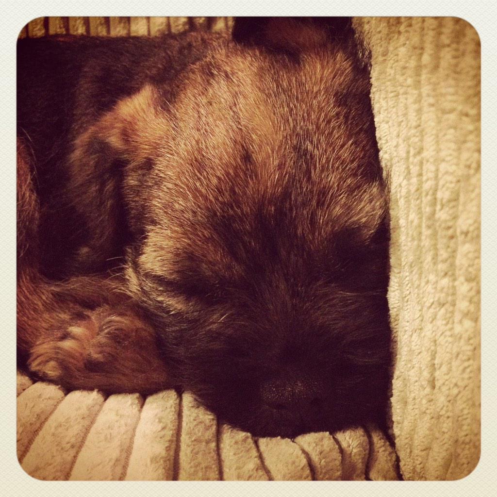 CoverupLabel's tweet image. 