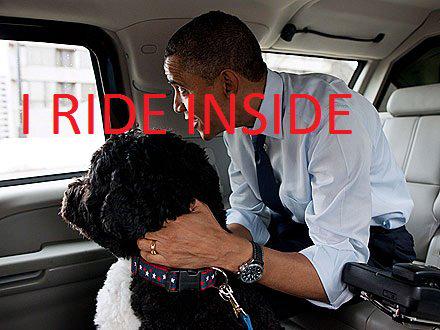 Ver imagen en Twitter