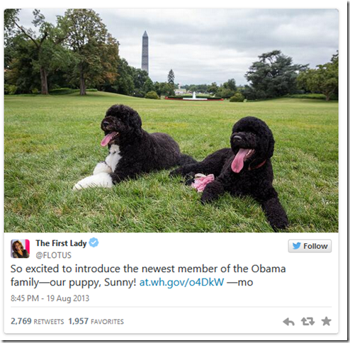 Ver imagen en Twitter