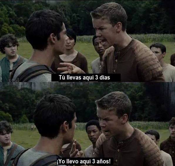 ᴀᴇʟɪɴ ɢᴀʟᴀᴛʜʏɴɪᴜꜱ tweet media