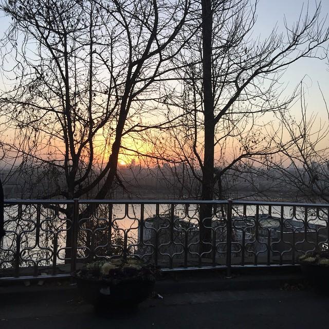 埋め込み画像への固定リンク