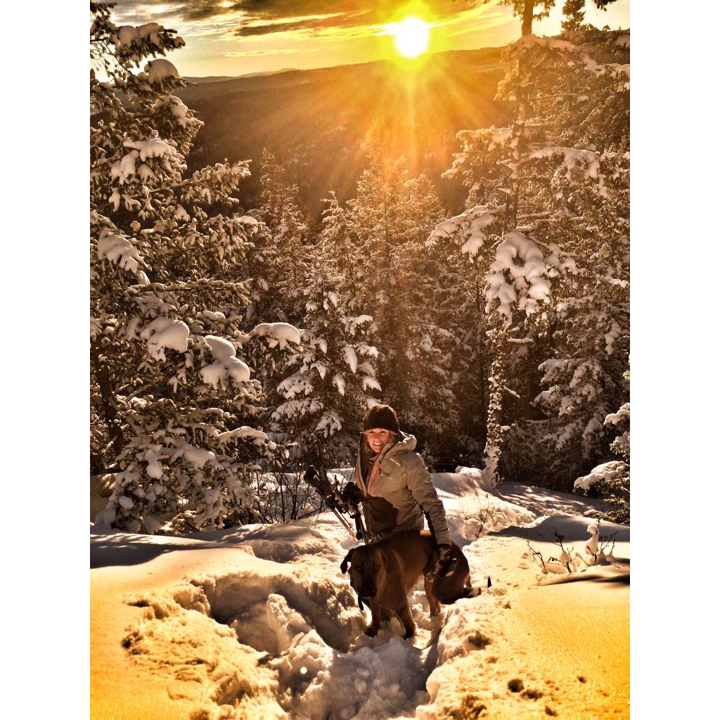 KristyTitus's tweet photo. Beautiful way to end 2014 w my #hound by my side. Bring on #2015! #blessed #predatorhunting #cougar #regulatorbow http://t.co/XAAbhFyock