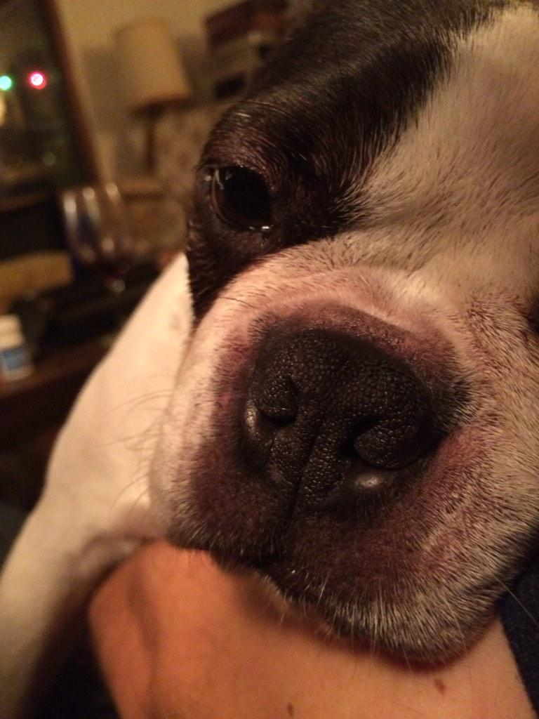 beerfoodvan's tweet photo. Someone barely made it to midnight! Happy New Year Everyone! We look forward to spending 2015 with you &amp; your beers! http://t.co/XnitM0CZTv