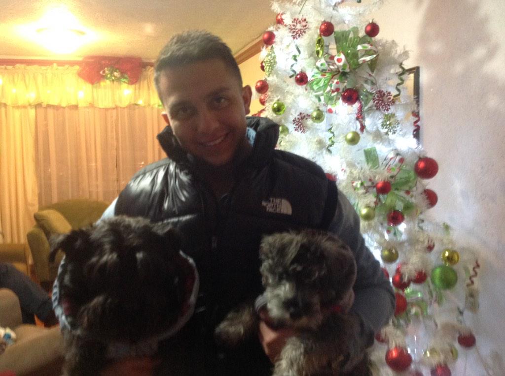 JMPorchini's tweet photo. Los tres amigos con chaleco 🐶 #DogLover #Schnauzer #Buzzy #Skipper #Jav1 http://t.co/wrw4EyLEvT