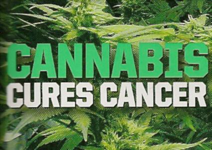 lets_legalizeit's tweet photo. Cannabis cures cancer! #LegalizeIt http://t.co/4iLVveN7Uw