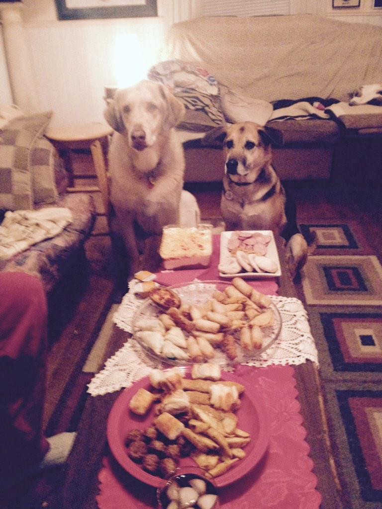 sunshinekjs's tweet image. #ETCanadaNYE spending New Years with my special man and my four legged family... Can&apos;t wait for 2015!