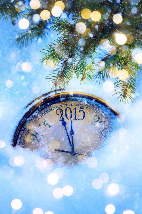 Rohkris_12's tweet photo. Today is the first blank page of a 365 page book, write a good one. Happy new year guys🎉🎊 http://t.co/5evZXV0ROq