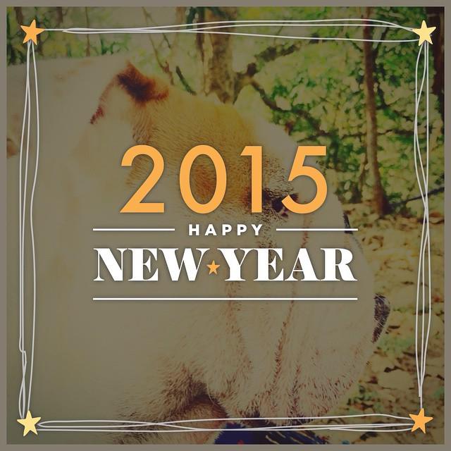 #happynewyear2015 #felizañonuevo2015 #copitolife #bulldogingles ift.tt/1zz799c