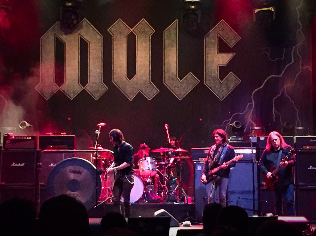 AdamKMusic's tweet photo. @govtmuleband with @MylesKennedy on lead gong for hells bells. #wheresmymule #GovtMuleNYE http://t.co/1lUtCxy2nB