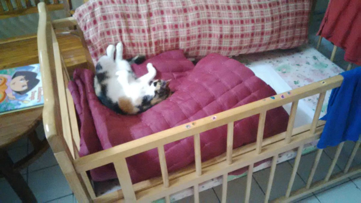 CoreraMoon's tweet image. The crib is 4my cousin's baby anytime in January. Well, look there. Lela Lolipop yang rasmikan the crib. #CatProblem