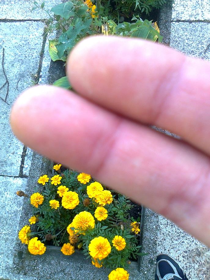 Witold97's tweet photo. Prywatna kolekcja - Zestaw 17

Autor; @Witold97 Witold Służalec http://t.co/iPQFle4kcm