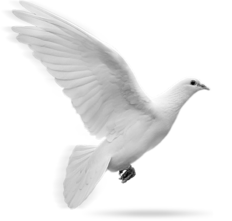 RizJIPK's tweet image. We Proud to b #JAMATI
#YearOfPeace2015
#JIPeaceConf