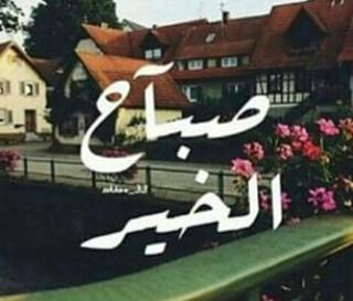 مغلق نهائي  (@roqeaaneemaa9) on Twitter photo 