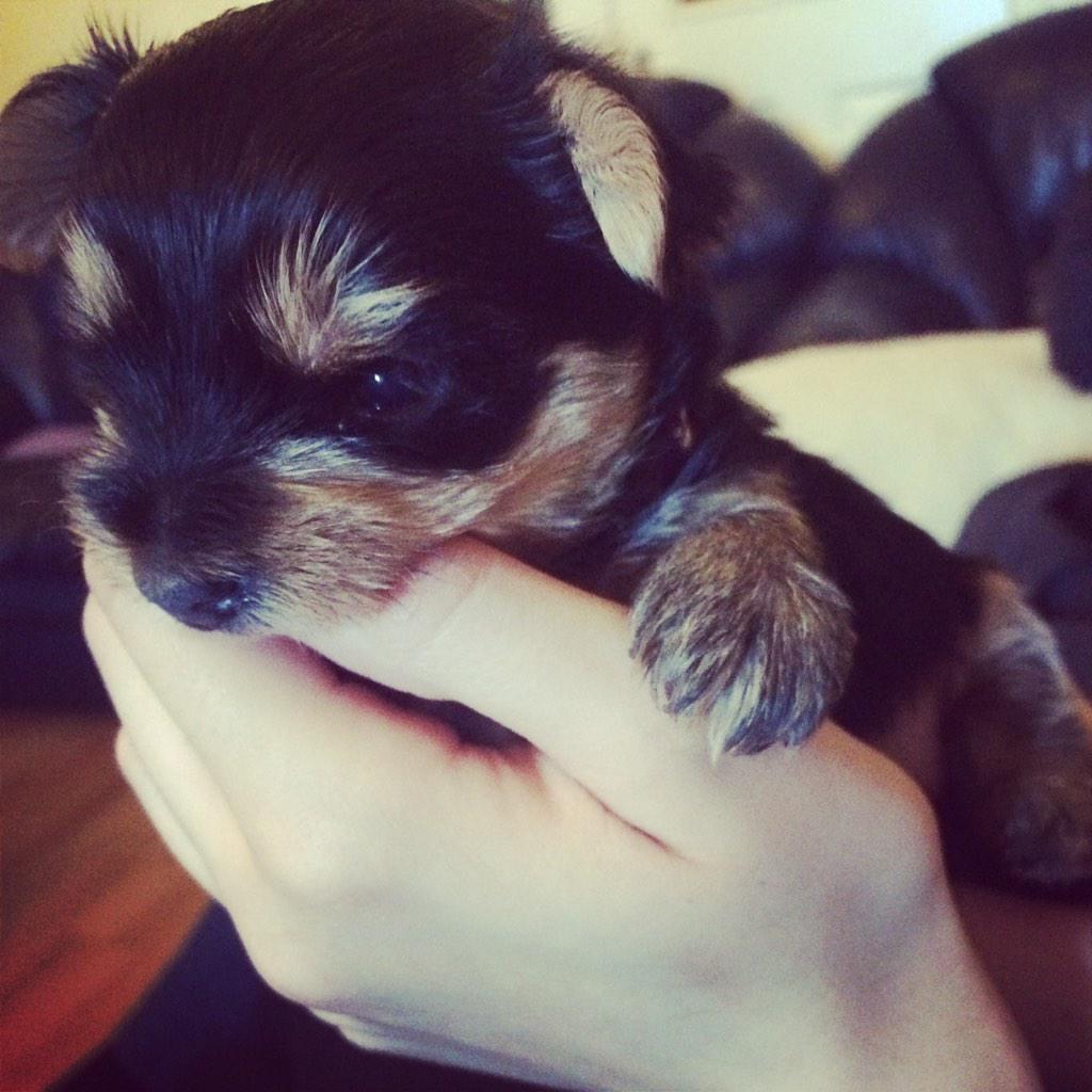 Woah oh.... Cute alert! I can only try to keep Coco photos to a minimum.