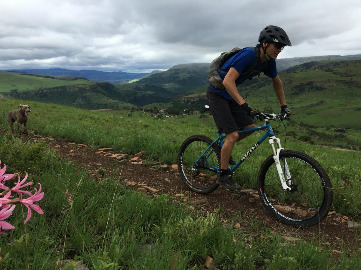 Glenn Harrison tweet media