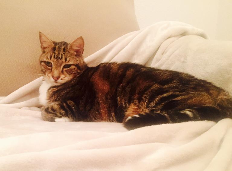 reshapeology's tweet photo. Best New Year's Day gift ever .. My boy is home and getting better. #HaopyNewYear #health #love
#soulmate ❤️✨✨ http://t.co/Qjq1cjLg3C