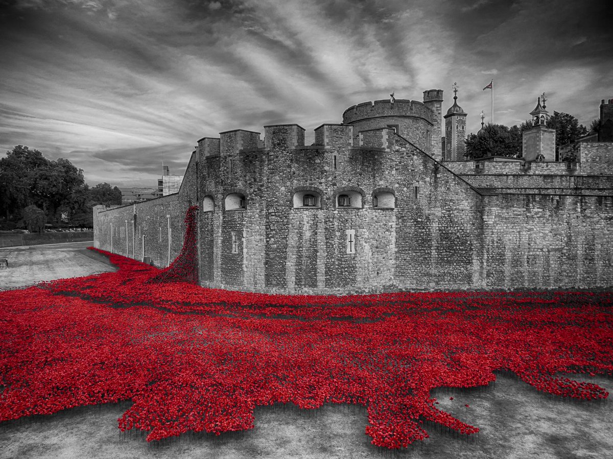 agh57's tweet image. Poppies at the Tower of London. Taken in August. #WW1Centenary #WW1