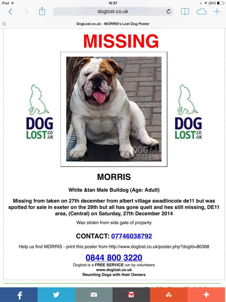 PaulTolin's tweet photo. Please could everyone RT this, stolen bulldog Morris. @alanstestcentre http://t.co/U2rApTZxNM