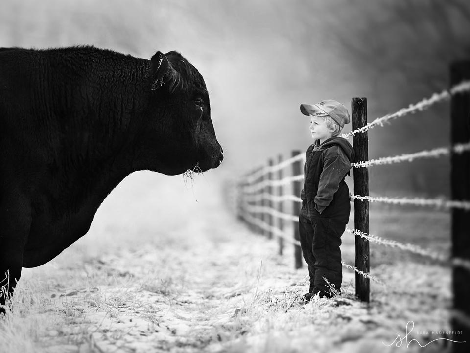 500px's tweet photo. The Agreement by @shadenfeldt: http://t.co/zRO9mNXgVi http://t.co/99zGS4XRCs