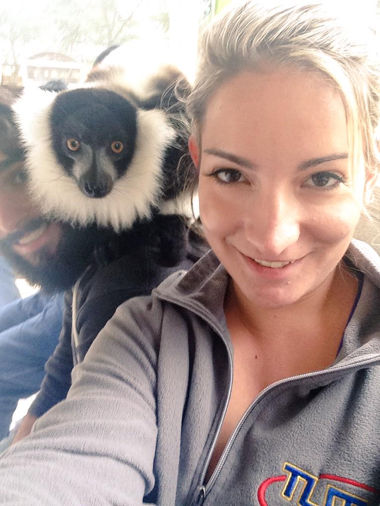 hansquanch's tweet photo. Surprisingly lemurs have really soft hands... #gulfzoo #lemurencounter #lemurslovebeards http://t.co/jp4gmtOWL6