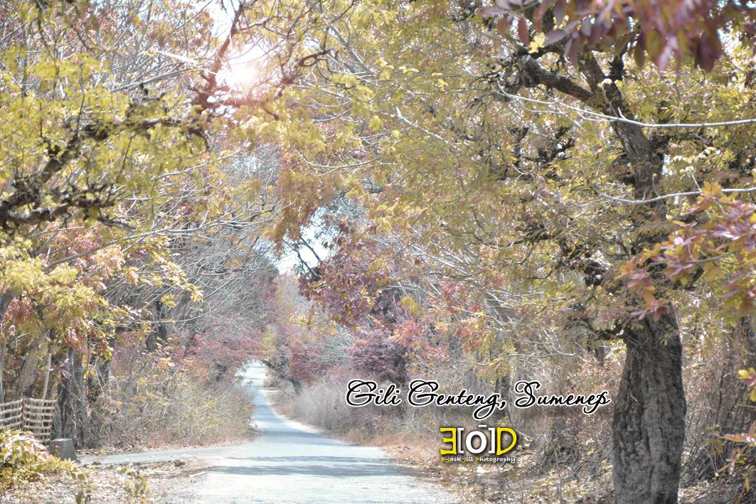 adventure #sumenep #road #giligenteng #photography