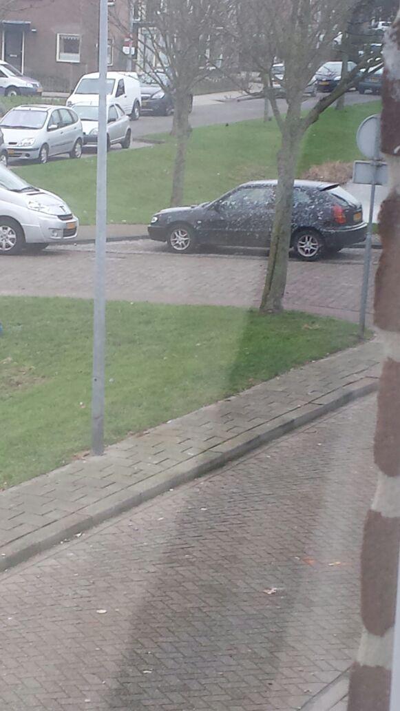 maartenromkes's tweet photo. Wil de grap jurk wie dit gedaan heeft mijn auto ook even schoon maken http://t.co/ZITKMgPUtp