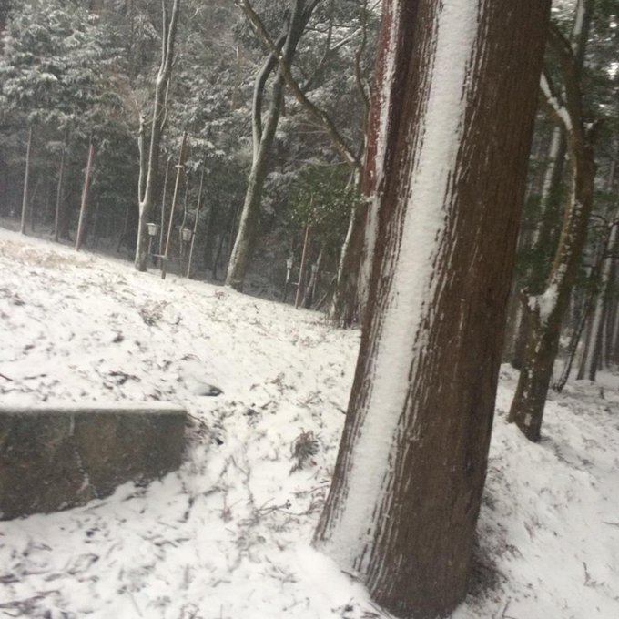 こっち雪すごい！ 夕方からあっという間に積もっちゃった笑 明日親友ちゃんと初詣行くんやけどブーツで大丈夫やろか？ http://t.co/0nwvgRvDRR<a href="/tag/imvery"class="tags"><span>#imvery</span></a>