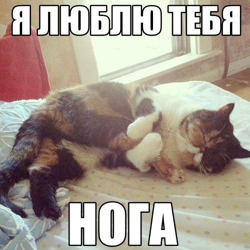 Dimleksov's tweet photo. Думаю, у большинства сегодня день начался примерно так ;) http://t.co/e3gxJeUmSm