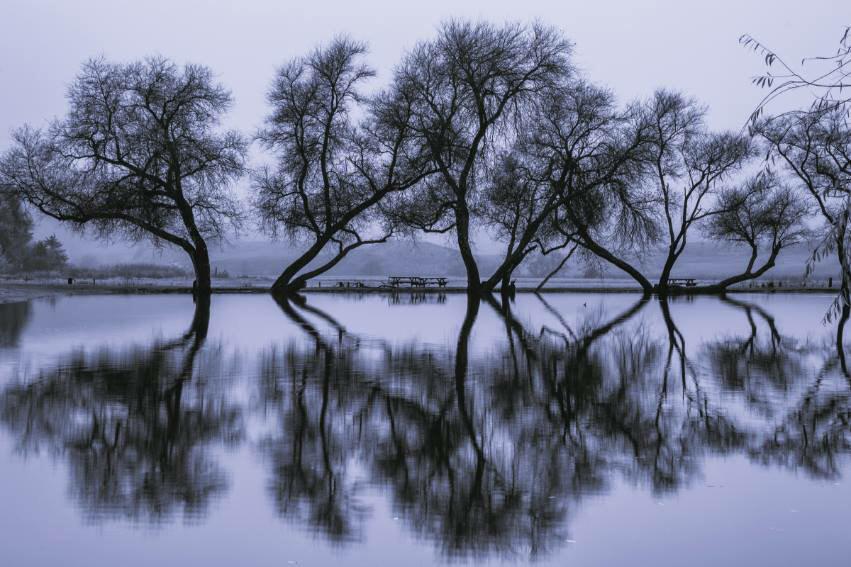 Aboutacircle's tweet photo. Art in nature#nature#art#trees http://t.co/Zu44Mcz0ui
