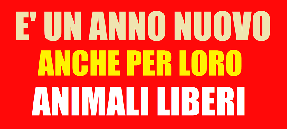 AD_ADefenders's tweet photo. È UN ANNO NUOVO ANCHE PER LORO. ANIMALI LIBERI.

Nel momento in cui ognuno di noi festeggiava http://t.co/PrtKPxmT2h http://t.co/FlmCfjC4bx