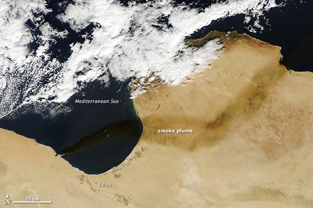 Jeff Harrison tweet media