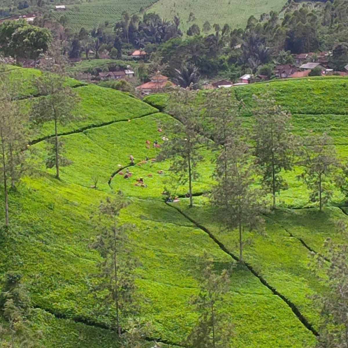 tsani_ia's tweet photo. Belum 24jam, pengen kesini lagiiiii.... Subhanallah... http://t.co/kskyvJE24E
