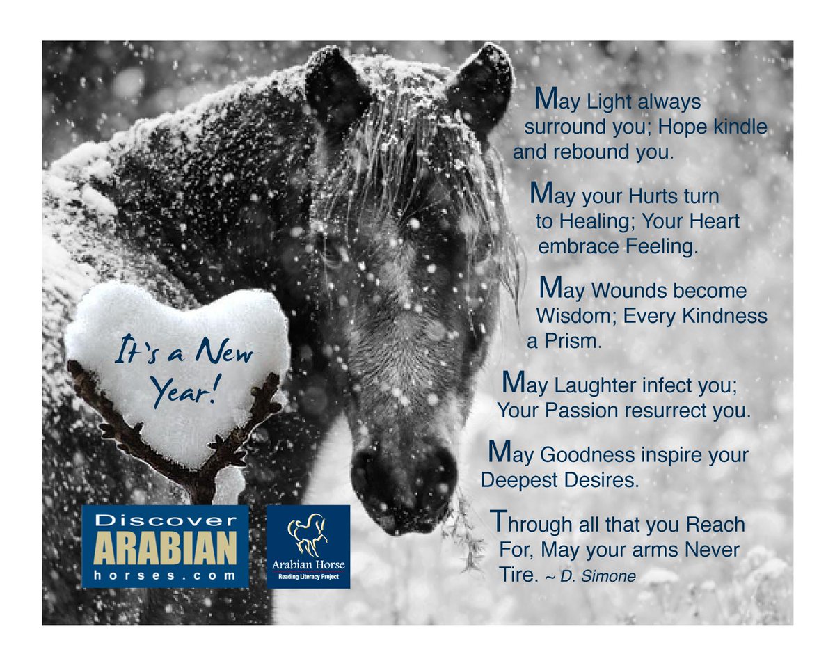 AuroraArabian's tweet photo. Happy New Year to you and yours! From Gary and everyone at #AHRLP #DISCOVERARABIANHORSES #EQUUSALIVE http://t.co/jH6HFriAVq