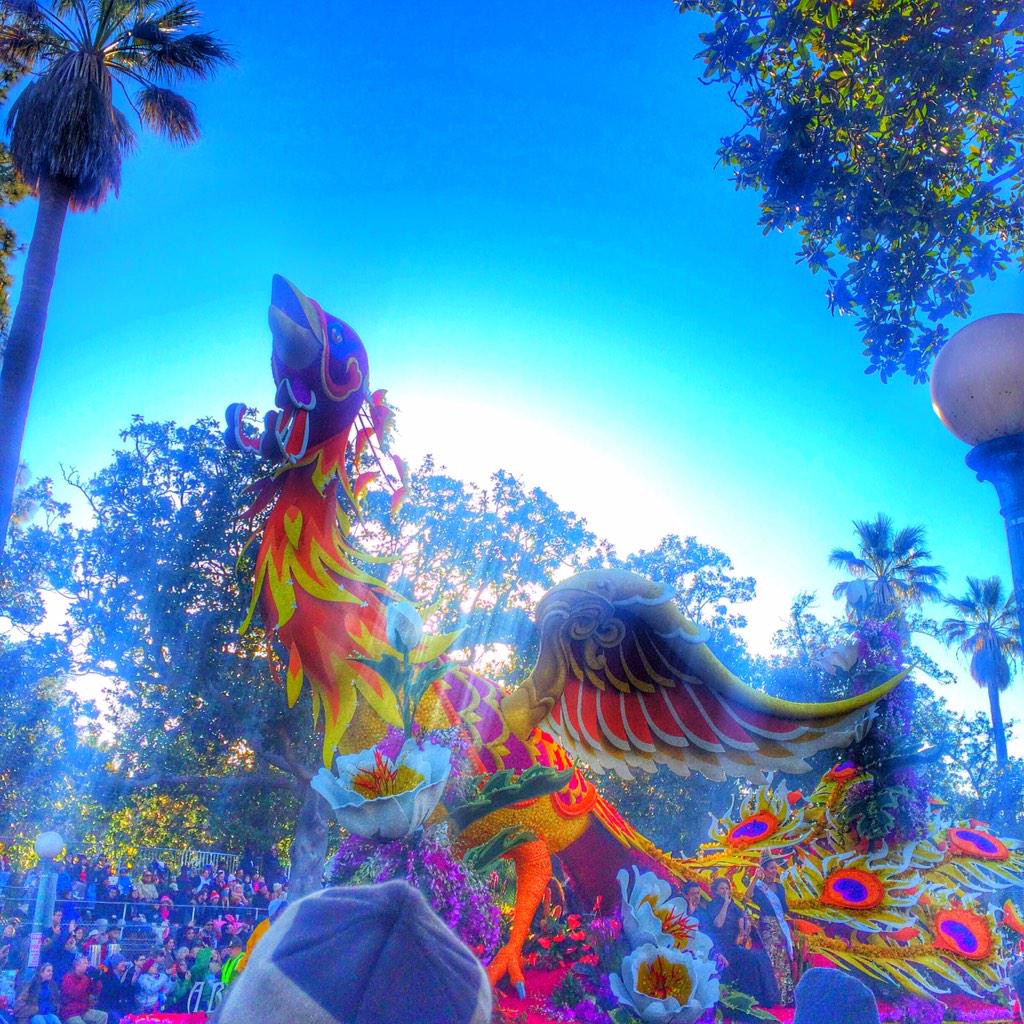 Johnnycesartist's tweet photo. #roseparade #pasadena 🌹🌻🌷💐 http://t.co/UtQMDDm9CY