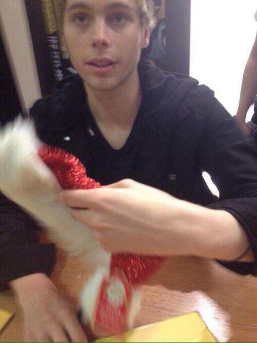 alexblcise's tweet image. helllooooo. i'm alexander and you should rt this and be my friend 😊