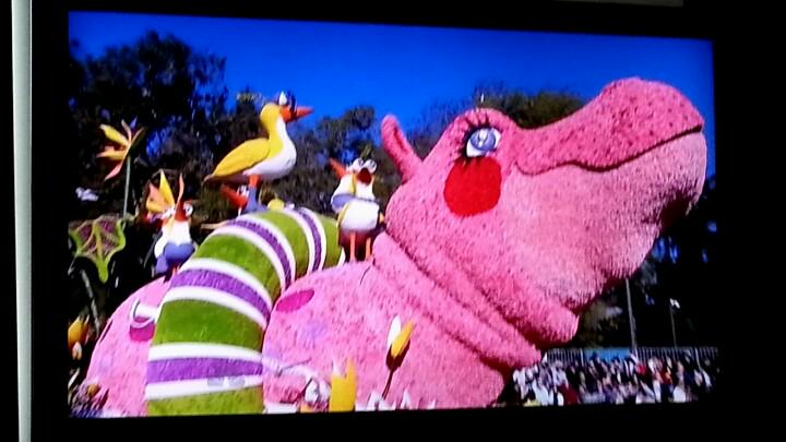 S_Wash's tweet photo. Look its @zappos float in the 126th @roseparade Lily the Hippo #ServingASmile #nbcroseparade http://t.co/lFero5iw4i http://t.co/8HqBDefEnW