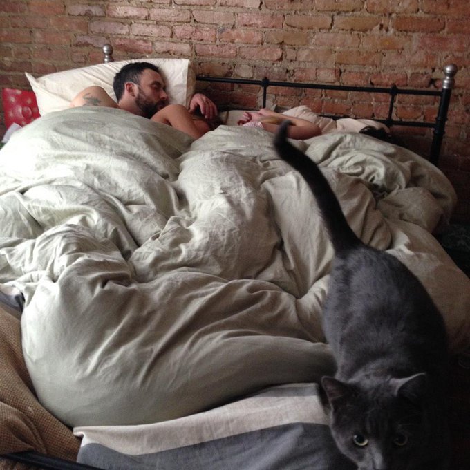 Everyone's in the bed :) #afterorgy http://t.co/32DAXWfvhL<a href="/tag/afterorgy"class="tags">#afterorgy</a>