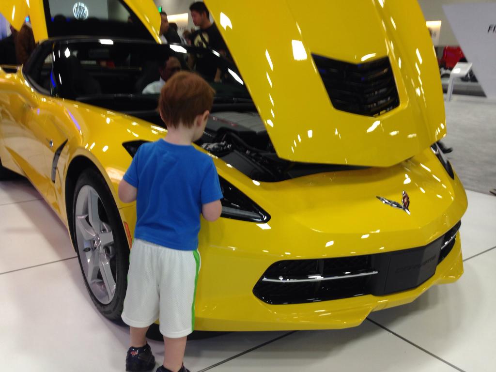 mikelynch76's tweet photo. @SanDiegoAutoSho Had a blast with my son at the #sandiegoautoshow last year - Might have to take the family this year http://t.co/4iguOERb84