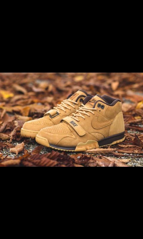 clothesneakers's tweet photo. #Postbadsneakers💎 QS Air trainer 1 Wheat💪 http://t.co/8twEr1Mnol