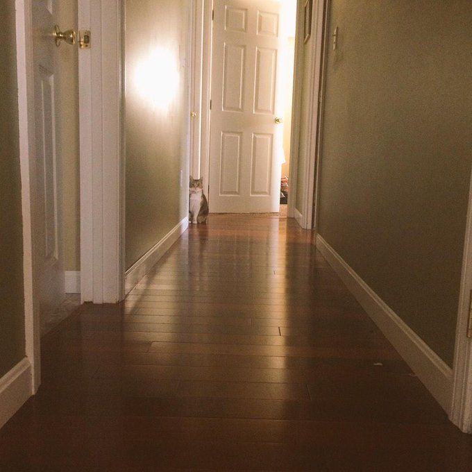 Creep http://t.co/kobfKq53ZT<a href="/tag/bts"class="tags"><span>#bts</span></a>