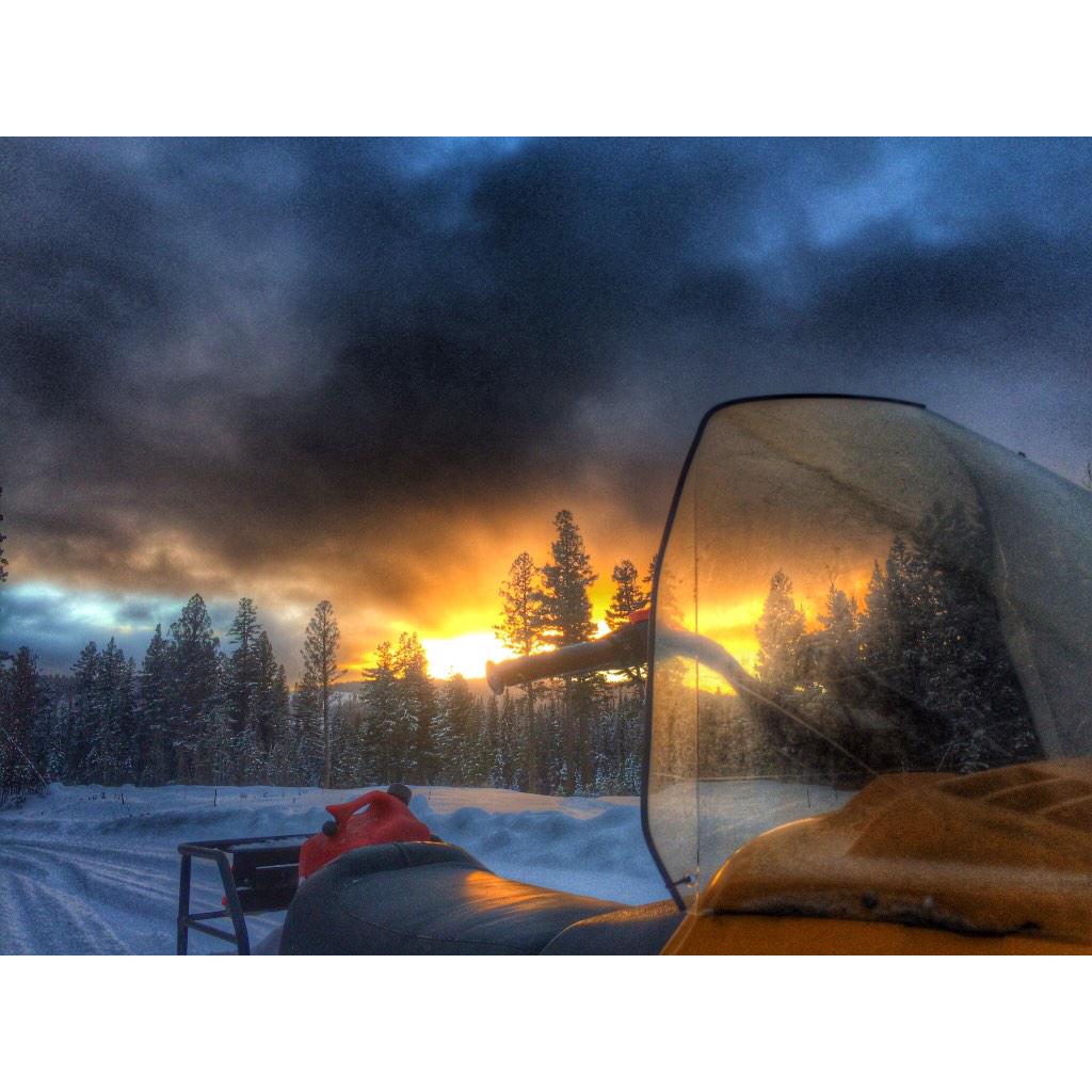 KristyTitus's tweet photo. #HappyNewYear #2015 British Columbia sub-zero hunting #cougar. #trackandtree #houndhunt #predatorhunt #cabelas http://t.co/5JyteMLivl