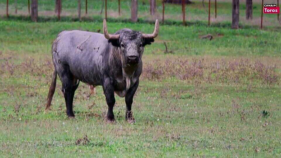 Javitaurino__'s tweet photo. #herradoPR @paisajeherrado http://t.co/gcRFowMgNf