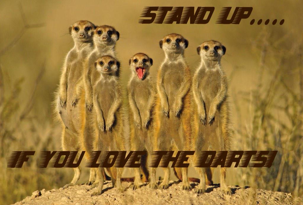 het is weer een heerlijk darts avondje! #rtl7darts