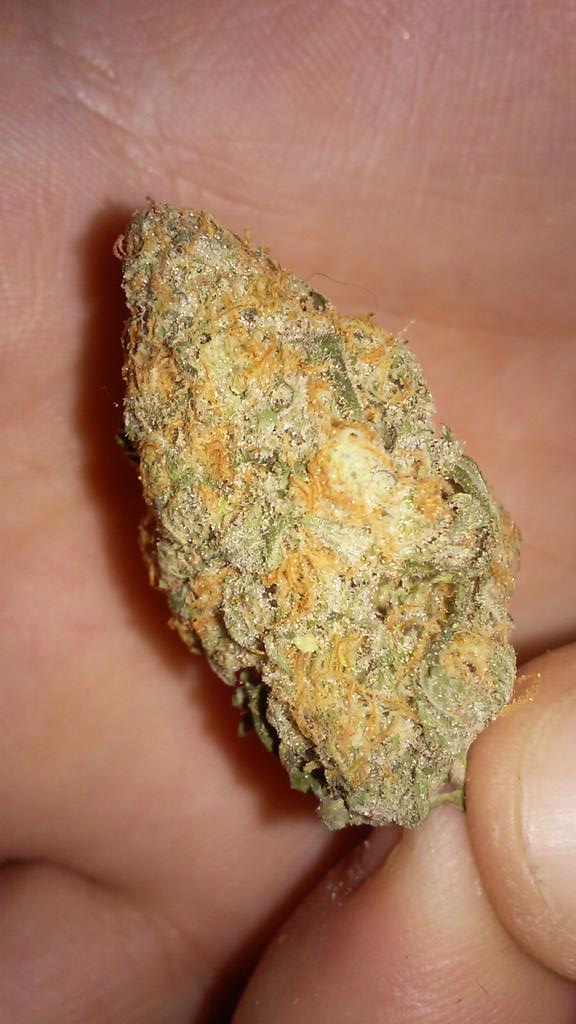 GoodLookinBuds tweet picture